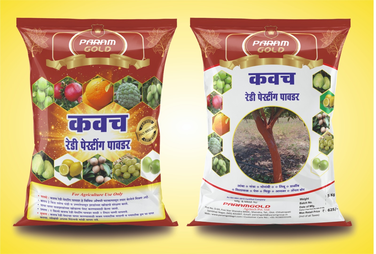 ParamGold Kavach ready pasting powder pack